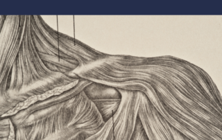 vein