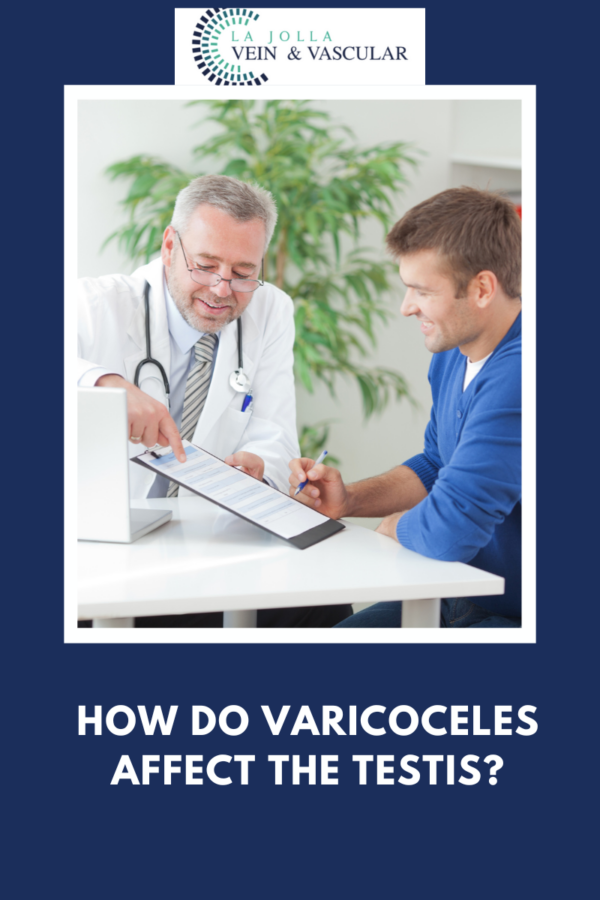 Vein And Vascular Treatment Varicoceles